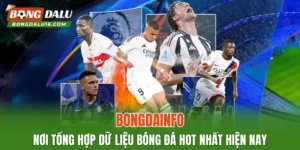 BONGDAINFO – Nơi Tổng Hợp Dữ Liệu Bóng Đá Hot Nhất Hiện Nay