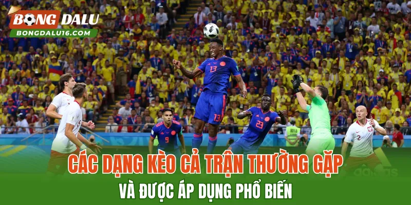 Các dạng kèo cả trận thường gặp và được áp dụng phổ biến