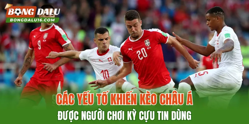 Các yếu tố khiến kèo châu Á được người chơi kỳ cựu tin dùng