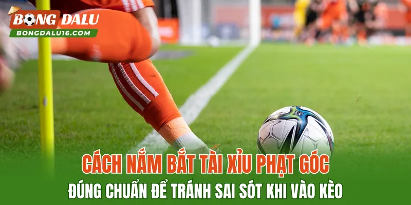 Cách nắm bắt tài xỉu phạt góc đúng chuẩn để tránh sai sót khi vào kèo