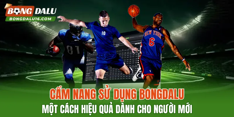 Cẩm nang sử dụng BONGDALU một cách hiệu quả dành cho người mới