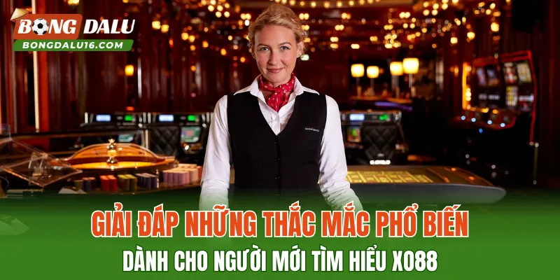 Giải đáp những thắc mắc phổ biến dành cho người mới tìm hiểu XO88