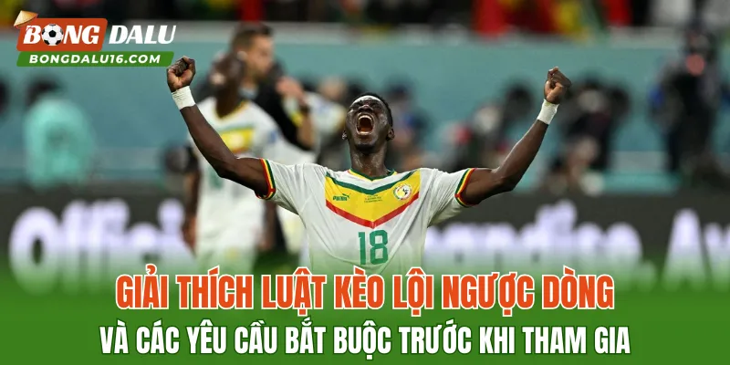 Giải thích luật kèo lội ngược dòng và các yêu cầu bắt buộc trước khi tham gia