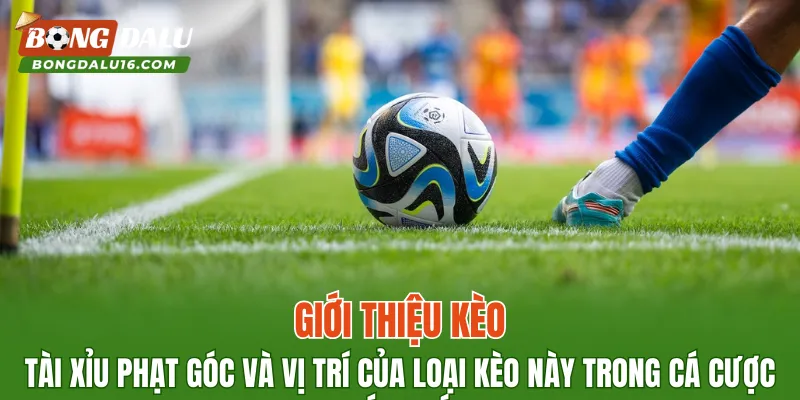 Giới thiệu kèo tài xỉu phạt góc và vị trí của loại kèo này trong cá cược bóng đá