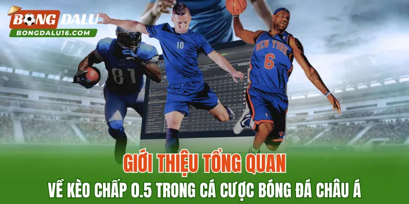 Giới thiệu tổng quan về kèo chấp 0.5 trong cá cược bóng đá châu Á