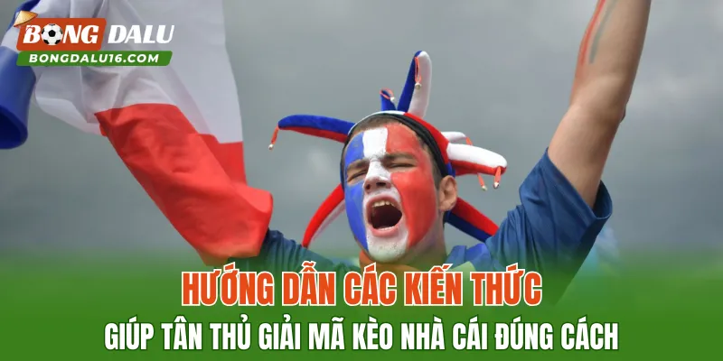 Hướng dẫn các kiến thức giúp tân thủ giải mã kèo nhà cái đúng cách