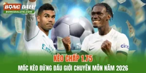 Kèo Chấp 1.75 – Lựa Chọn Ưu Tiên Số 1 Của Giới Cao Thủ