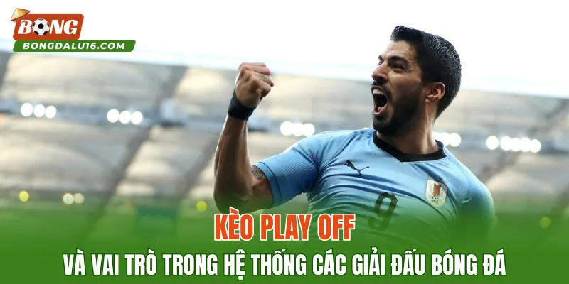 Kèo Play Off và vai trò trong hệ thống các giải đấu bóng đá