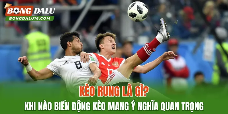 Kèo Rung Là Gì
