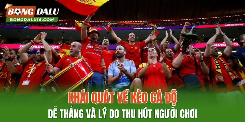 Khái quát về kèo cá độ dễ thắng và lý do thu hút người chơi