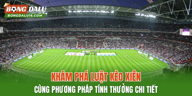 Khám phá luật kèo xiên cùng phương pháp tính thưởng chi tiết
