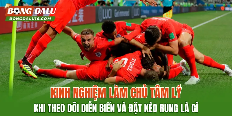 Kinh nghiệm làm chủ tâm lý khi theo dõi diễn biến và đặt kèo rung là gì