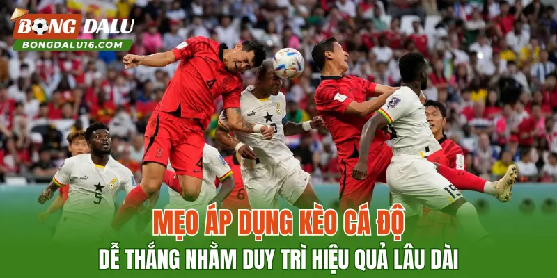 Mẹo áp dụng kèo cá độ dễ thắng nhằm duy trì hiệu quả lâu dài