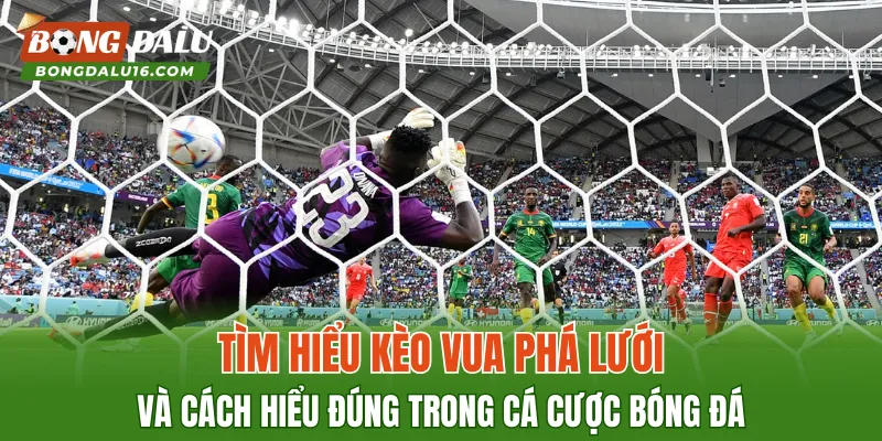 Tìm hiểu kèo vua phá lưới và cách hiểu đúng trong cá cược bóng đá