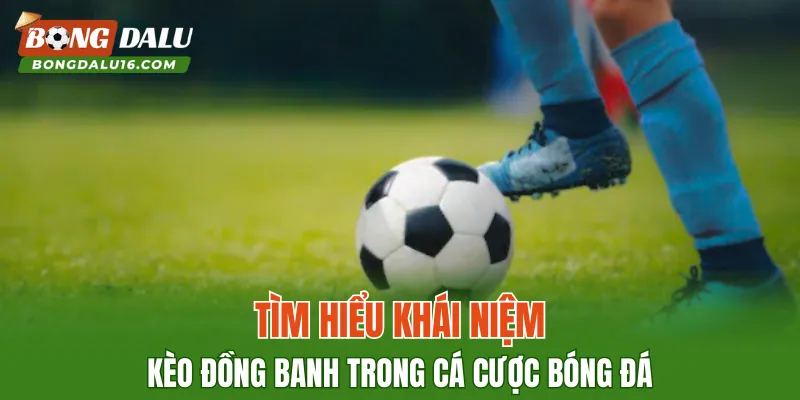 Tìm hiểu khái niệm kèo đồng banh trong cá cược bóng đá