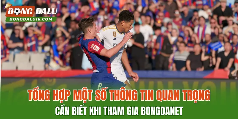 Tổng hợp một số thông tin quan trọng cần biết khi tham gia Bongdanet