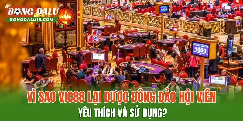 Vì sao VIC88 lại được đông đảo hội viên yêu thích và sử dụng?